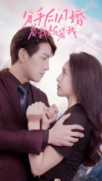 ���ֺ������ܲó�����