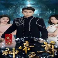 �˻������������