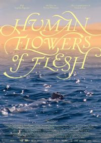 ����֮��2022