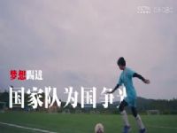 �й����������������� ���Ϸ���ϰ�ά�������VS���������������Ƕ� 20241109