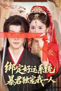 �󶨺���ϵͳ����������һ��